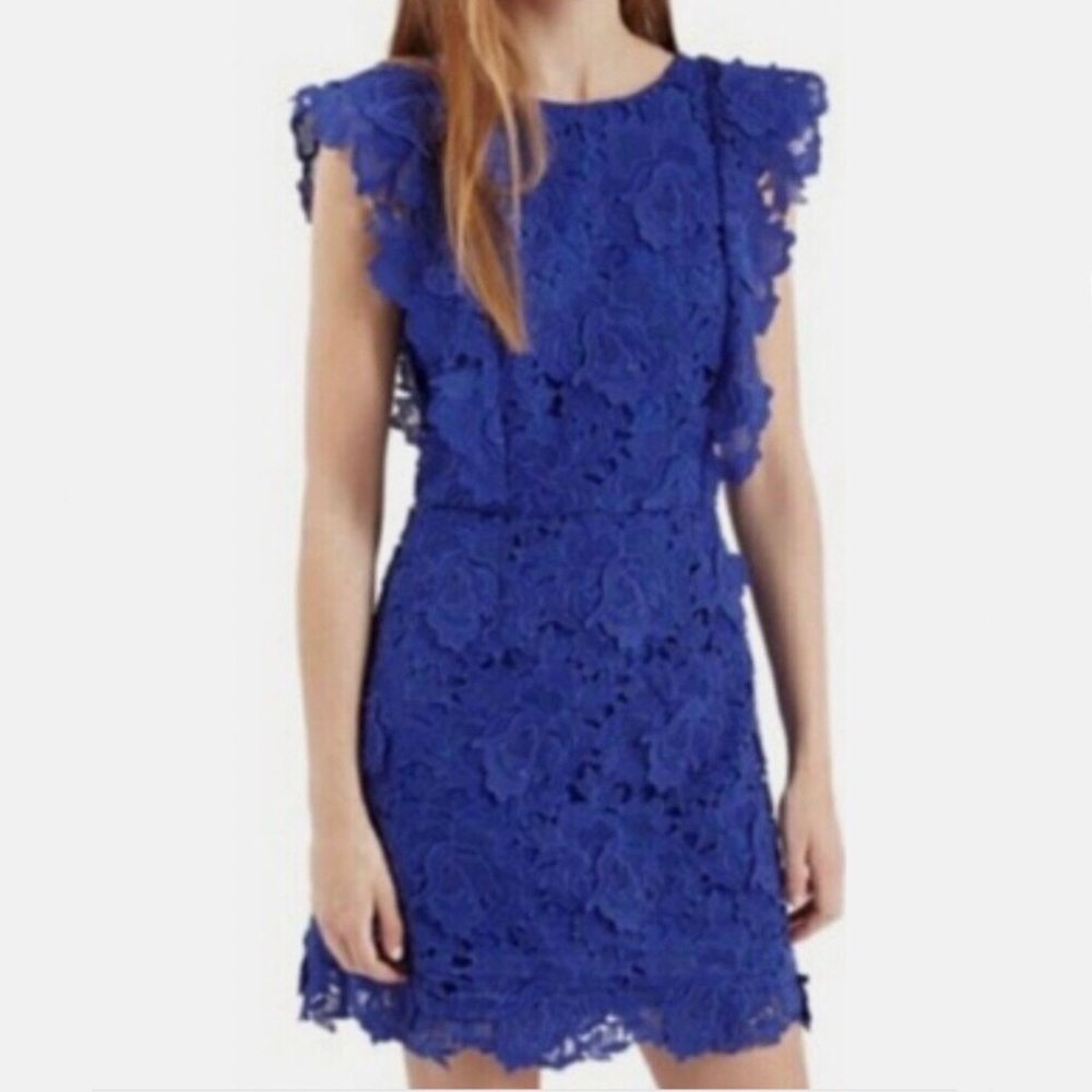 🆕 TOPSHOP Royal Blue Lace Flutter Mini Dress